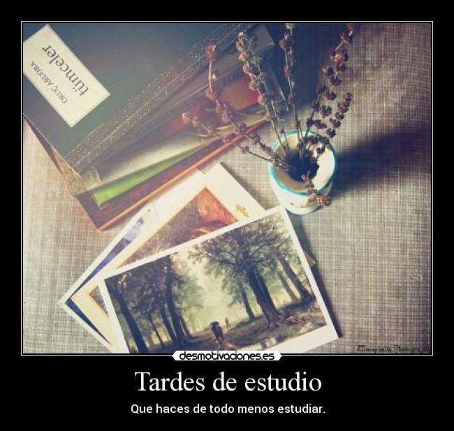 Tardes de estudio - 
