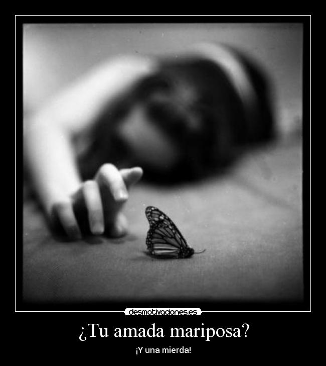 ¿Tu amada mariposa? -