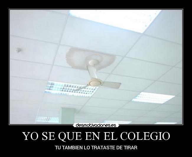 YO SE QUE EN EL COLEGIO - TU TAMBIEN LO TRATASTE DE TIRAR