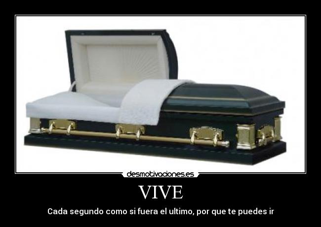 VIVE - 