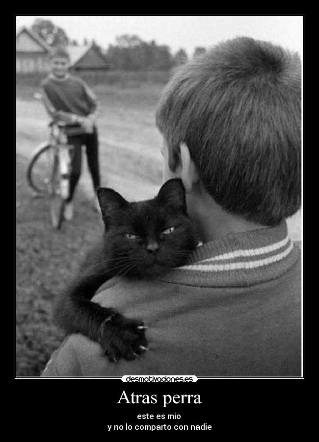 Atras perra -