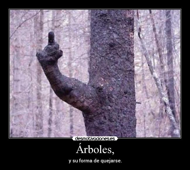 Árboles, - y su forma de quejarse.