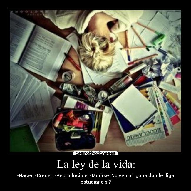 La ley de la vida: - -Nacer. -Crecer. -Reproducirse. -Morirse. No veo ninguna donde diga estudiar o si?