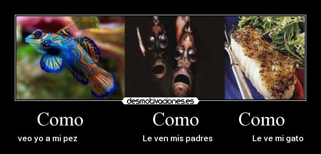 Como              Como        Como - 