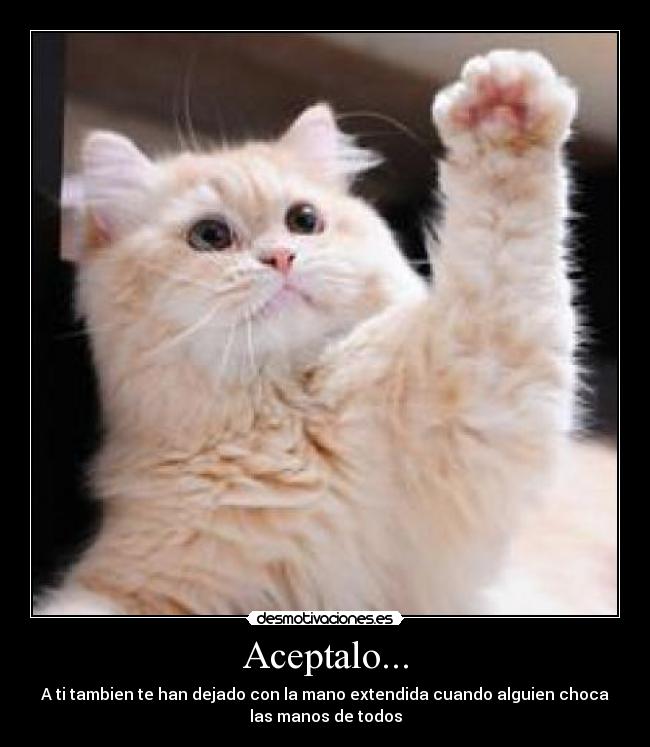 Aceptalo... - A ti tambien te han dejado con la mano extendida cuando alguien choca
las manos de todos