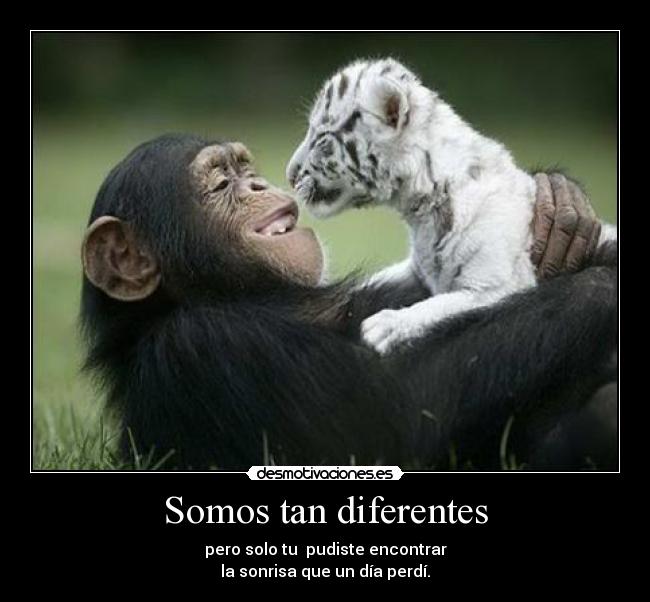Somos tan diferentes -