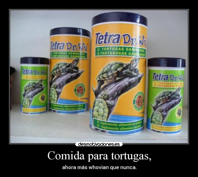 Comida para tortugas, - ahora más whovian que nunca.