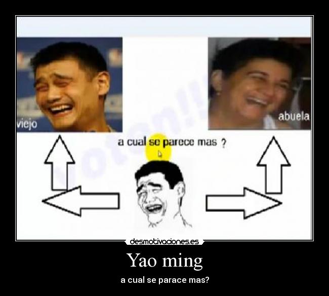 Yao ming - a cual se parace mas?