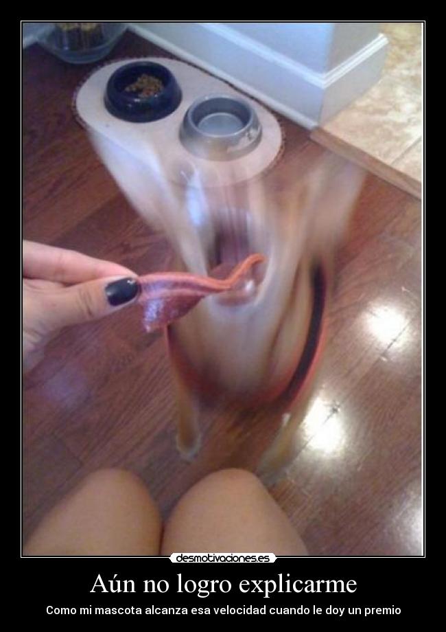 Aún no logro explicarme -
