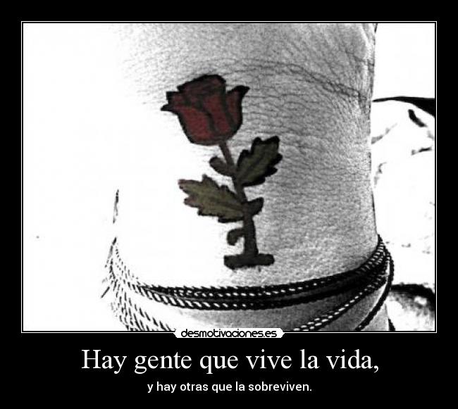 carteles vida hay gente que vive vida desmotivaciones