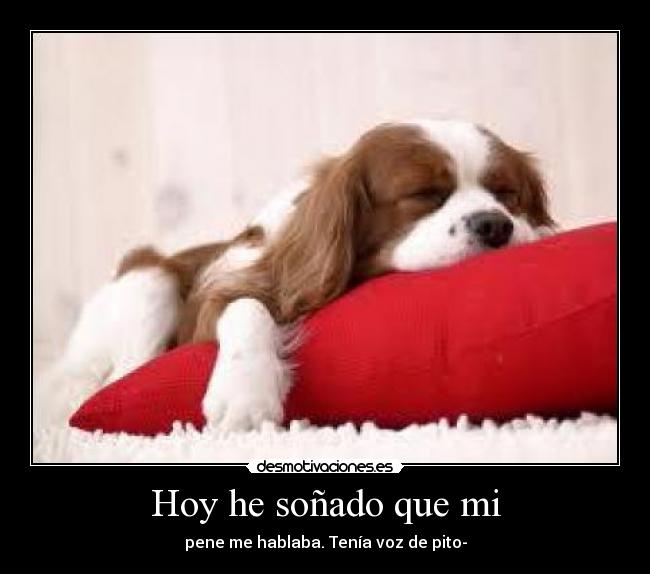 Hoy he soñado que mi - pene me hablaba. Tenía voz de pito-