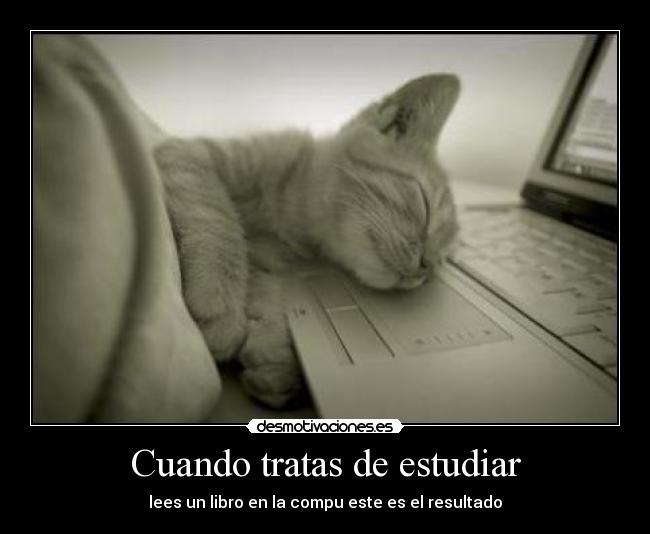 Cuando tratas de estudiar -