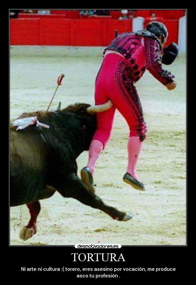 TORTURA - Ni arte ni cultura :( torero, eres asesino por vocación, me produce asco tu profesión .