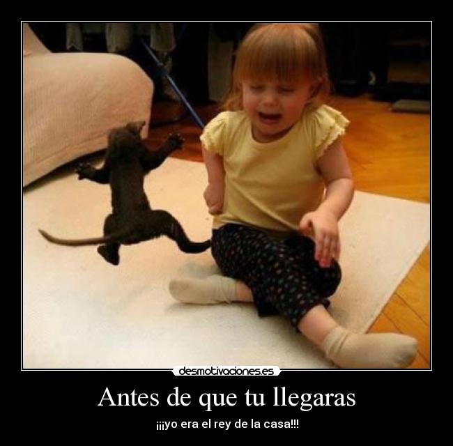 Antes de que tu llegaras - 