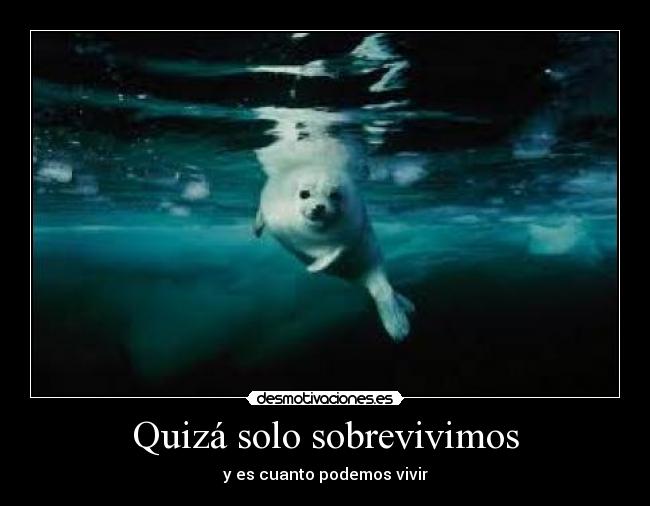 Quizá solo sobrevivimos - 