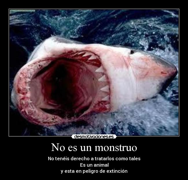 No es un monstruo - No tenéis derecho a tratarlos como tales
Es un animal
y esta en peligro de extinción