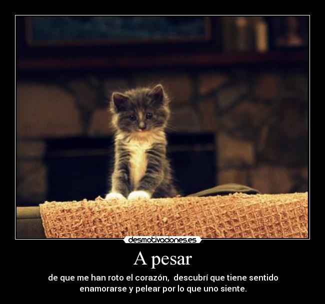 A pesar - de que me han roto el corazón, descubrí que tiene sentido
enamorarse y pelear por lo que uno siente.