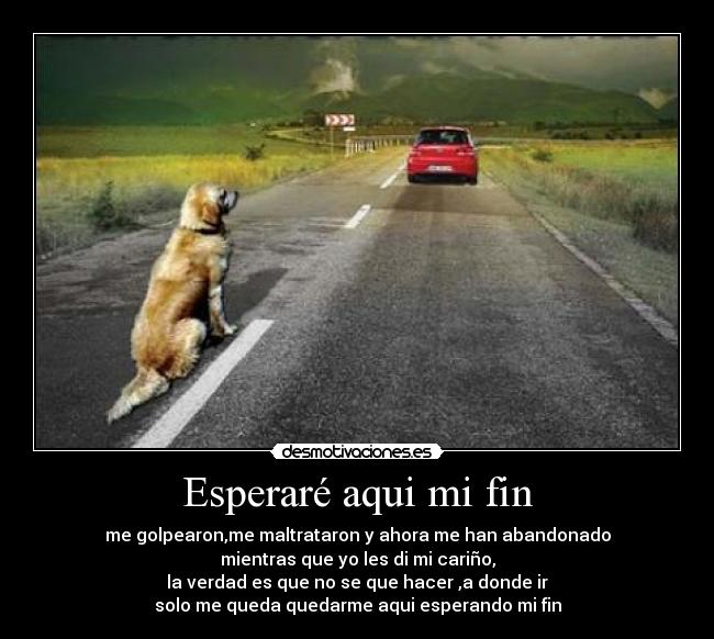 Esperaré aqui mi fin - me golpearon,me maltrataron y ahora me han abandonado
mientras que yo les di mi cariño,
la verdad es que no se que hacer ,a donde ir
solo me queda quedarme aqui esperando mi fin