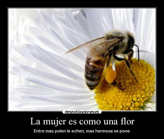 La mujer es como una flor - Entre mas polen le echen, mas hermosa se pone.