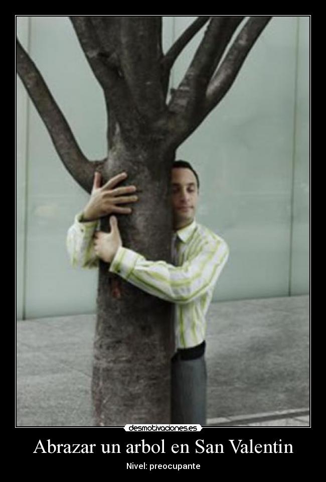Abrazar un arbol en San Valentin -