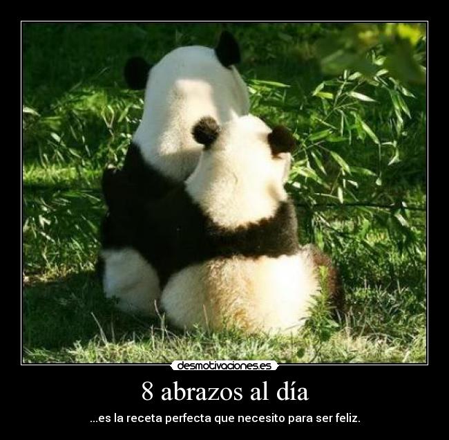 8 abrazos al día - ...es la receta perfecta que necesito para ser feliz.