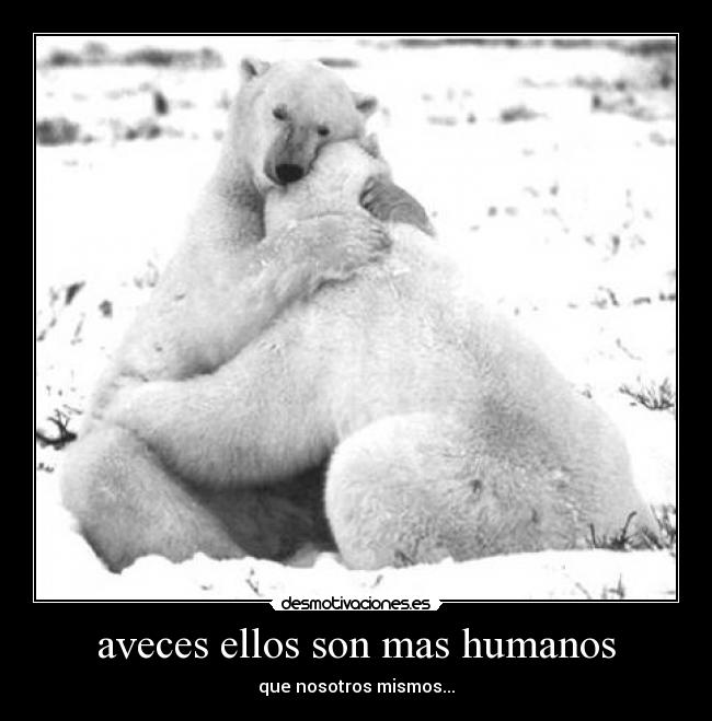 aveces ellos son mas humanos - que nosotros mismos...