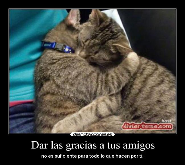 Dar las gracias a tus amigos - 