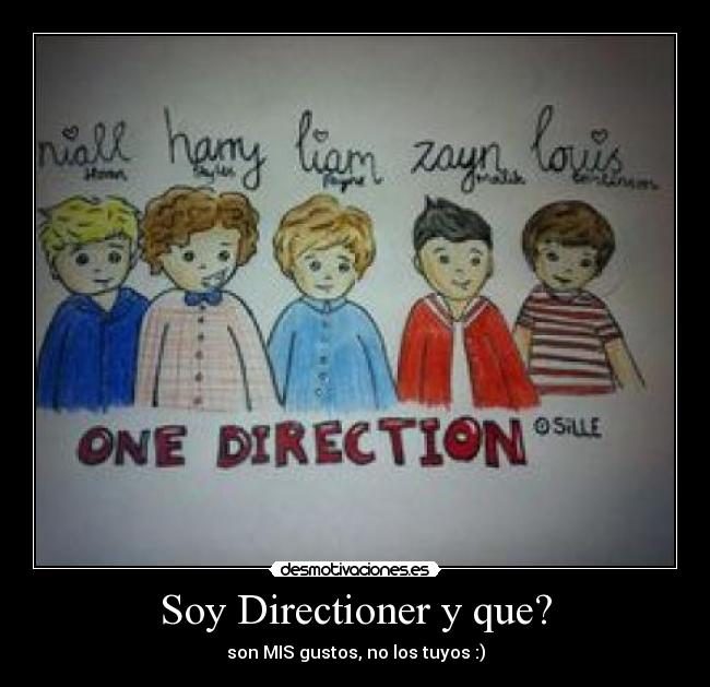 Soy Directioner y que? - 