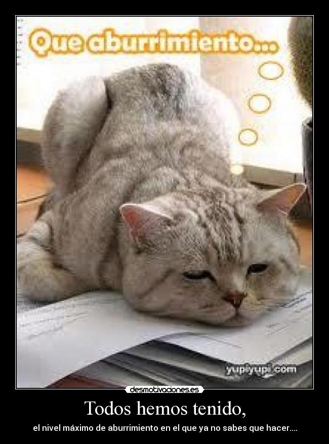 Todos hemos tenido, - el nivel máximo de aburrimiento en el que ya no sabes que hacer....