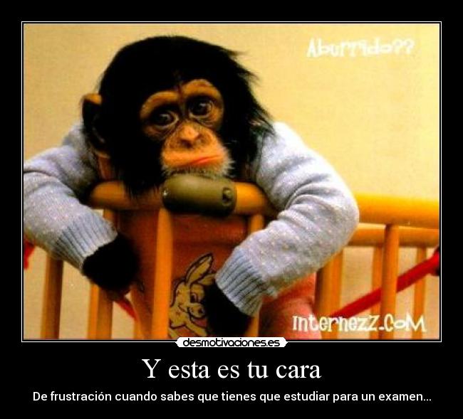 Y esta es tu cara - De frustración cuando sabes que tienes que estudiar para un examen...