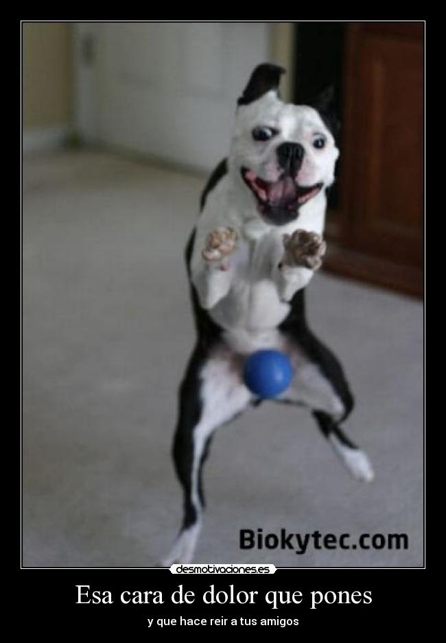 Esa cara de dolor que pones - 