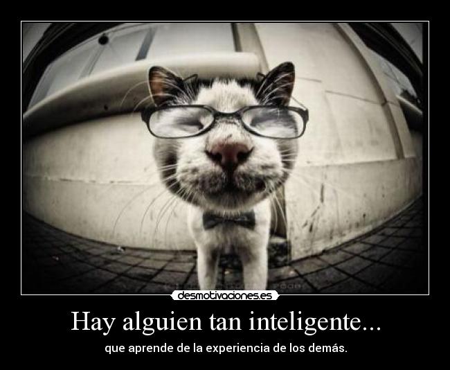 carteles inteligente experiencia desmotivaciones