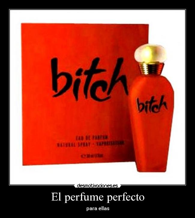 El perfume perfecto - 