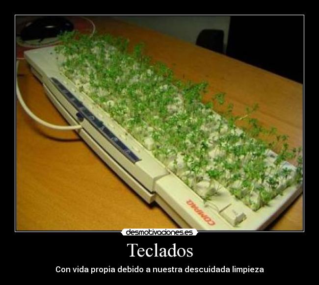 Teclados - Con vida propia debido a nuestra descuidada limpieza