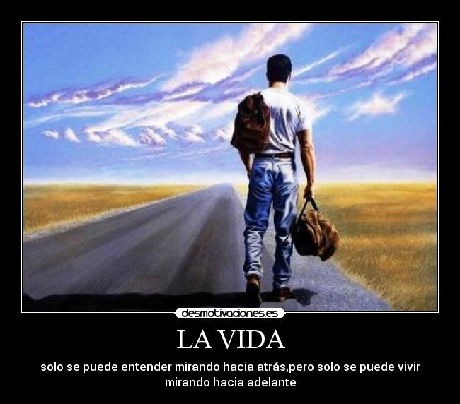 carteles vida vida solo vive una vez aprende los errores caidas desmotivaciones