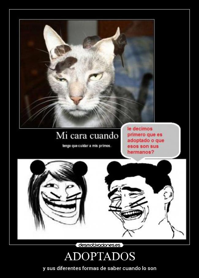 ADOPTADOS -