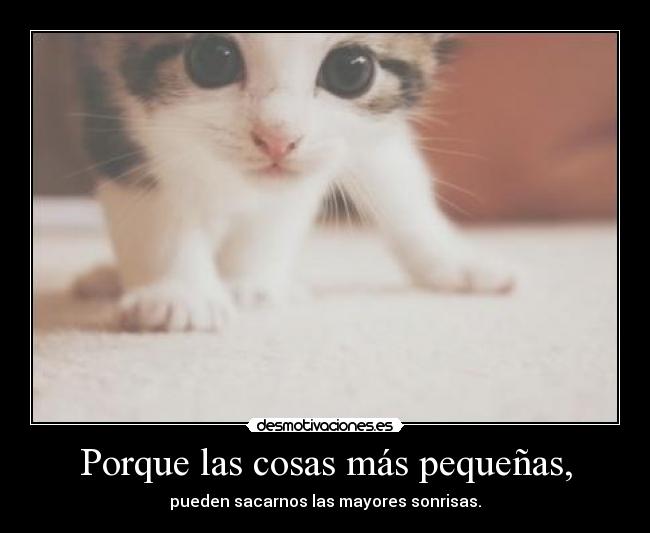 Porque las cosas más pequeñas, -