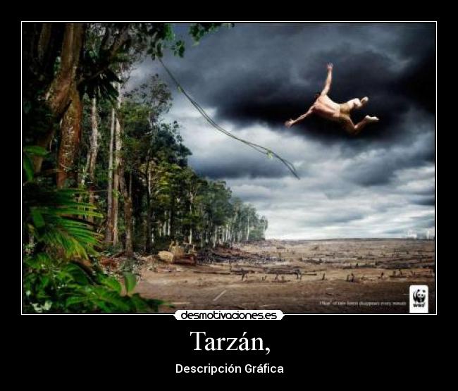 Tarzán, - Descripción Gráfica