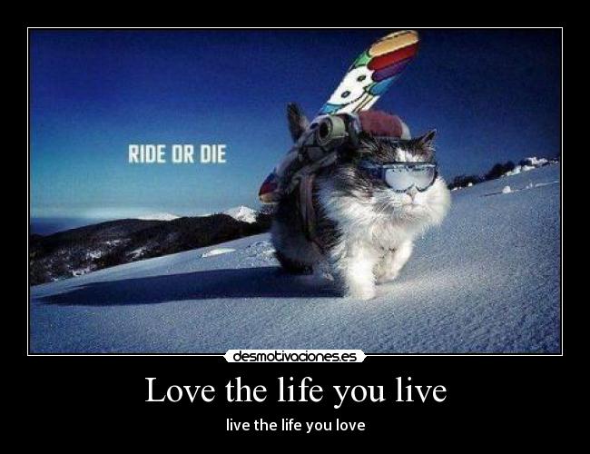 Love the life you live - live the life you love