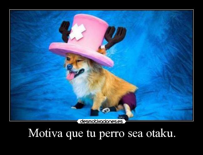 Motiva que tu perro sea otaku. - 