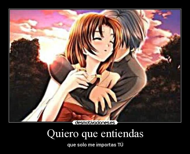 Quiero que entiendas -