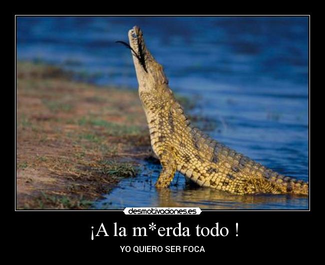 ¡A la m*erda todo ! - YO QUIERO SER FOCA