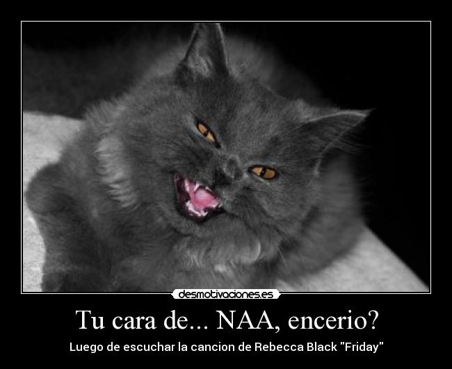 Tu cara de... NAA, encerio? - 