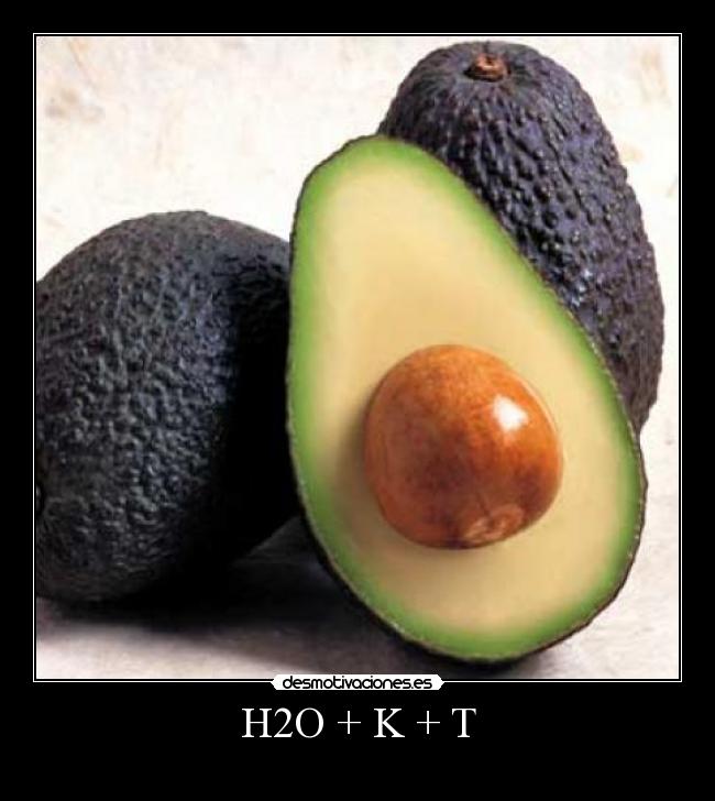 carteles aguacate desmotivaciones