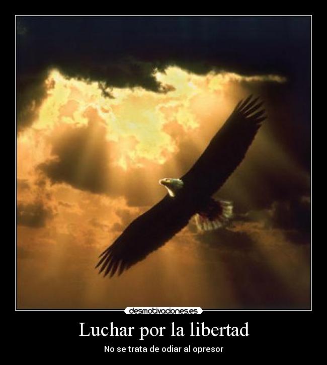 Luchar por la libertad - 