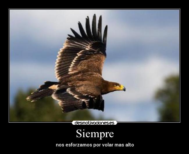 Siempre - nos esforzamos por volar mas alto