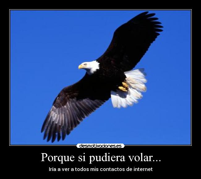 Porque si pudiera volar... -