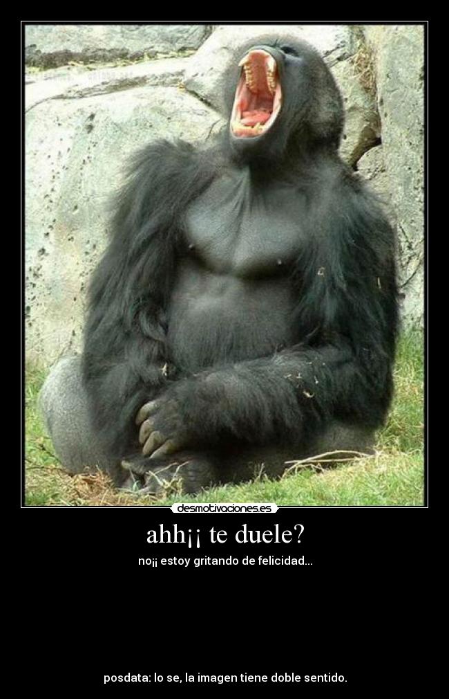 ahh¡¡ te duele? - no¡¡ estoy gritando de felicidad...







posdata: lo se, la imagen tiene doble sentido.