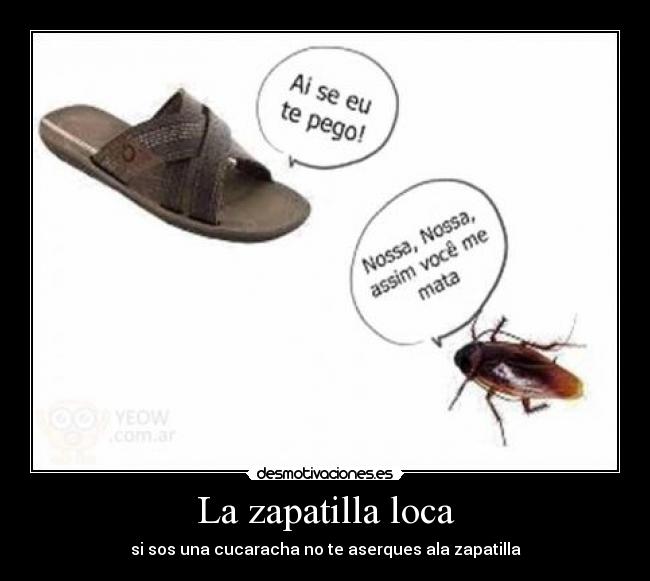 La zapatilla loca - 
