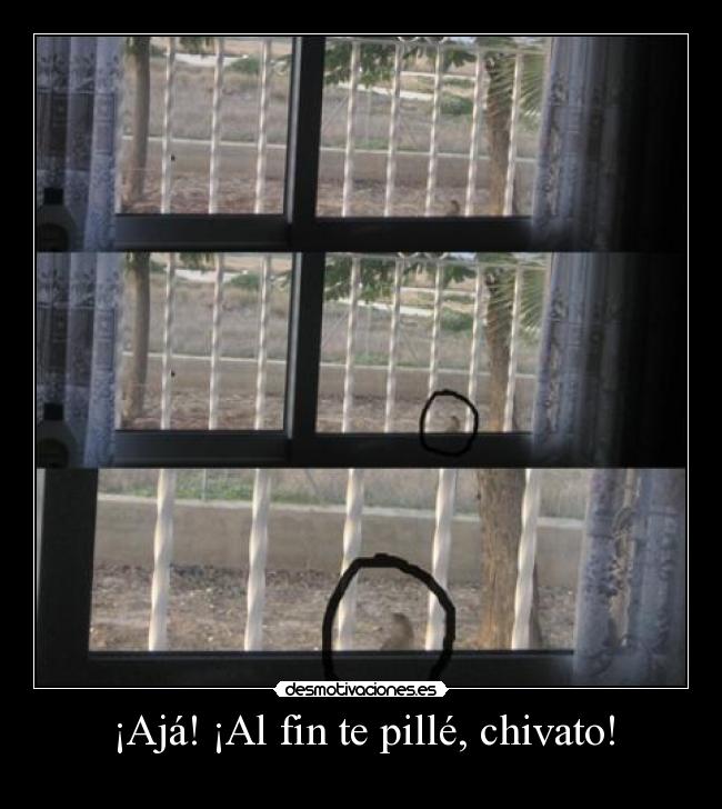 ¡Ajá! ¡Al fin te pillé, chivato! -